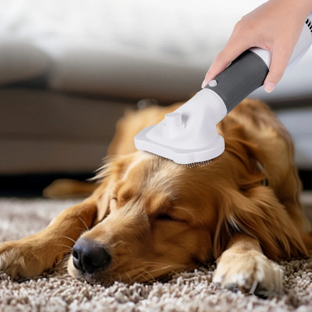 Dog Hair Dryer, 2 in 1 Dog Brush, Pet Grooming Dryer for Small Dog and Cat, Cat Hair Brush with Adjustable Temperature